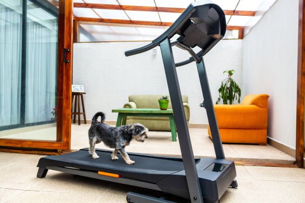 Cost of Treadmill Installation in Los Gatos