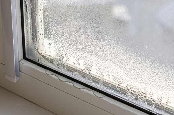Window Leakage Repair