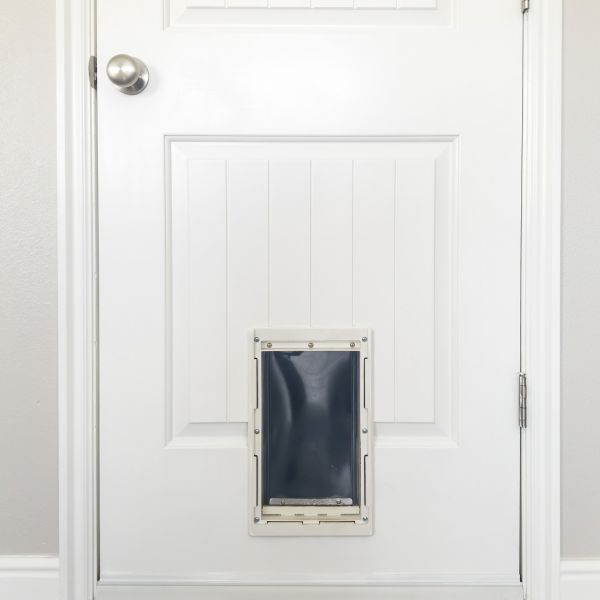 Pet Door Repair in Los Gatos