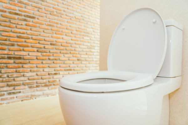 Cost of Toilet Seat Repair in Los Gatos
